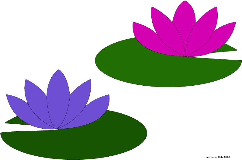 Download Go Back Gallery For Lily Pad Flower Clipart Lilly Pad Clip Art Png Image With No Background Pngkey Com