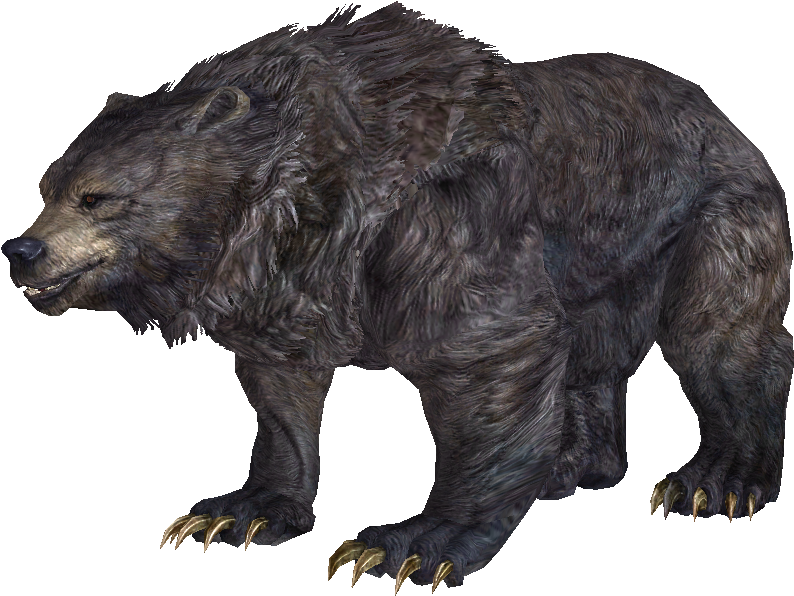 Skyrim Bear (894x650), Png Download