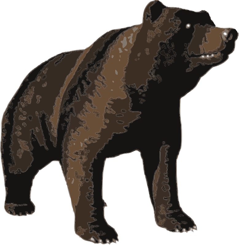 Medium Image - Custom Grizzly Bear Shower Curtain (778x798), Png Download