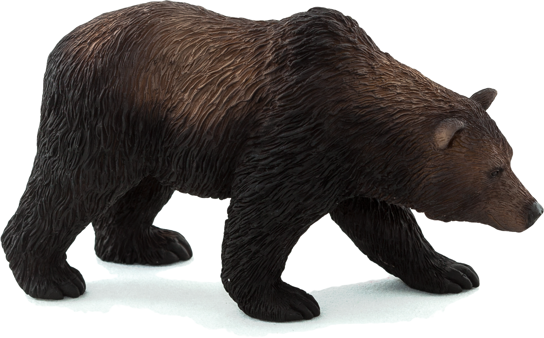 Mojo Grizzly Bear (2233x1412), Png Download