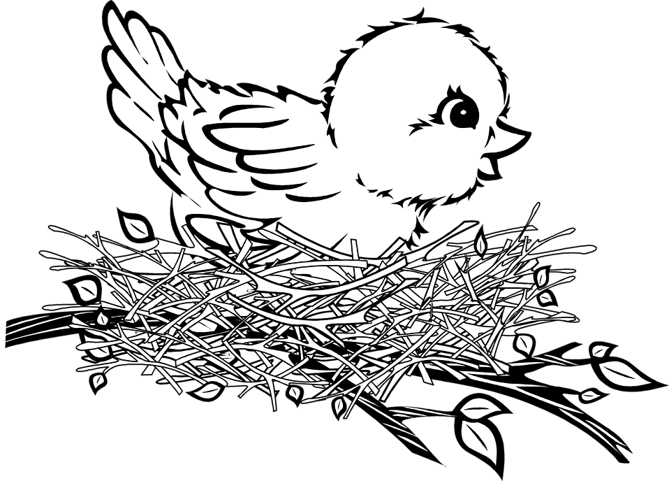 Picture Transparent Collection Of High Quality - Bird In Nest Clip Art (958x688), Png Download