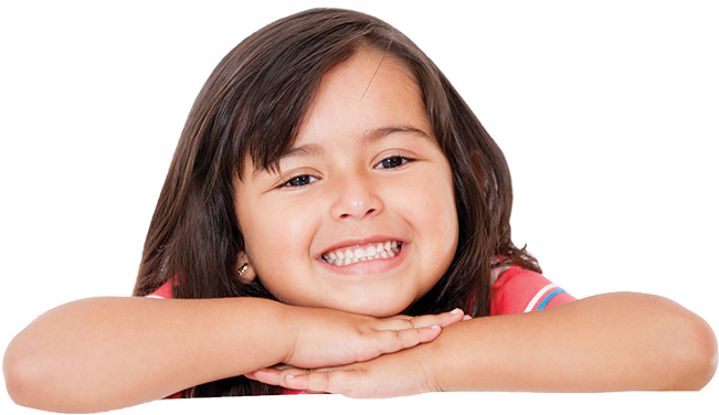 Little Girl Png - Wonderworld Animal Blocks (663x426), Png Download