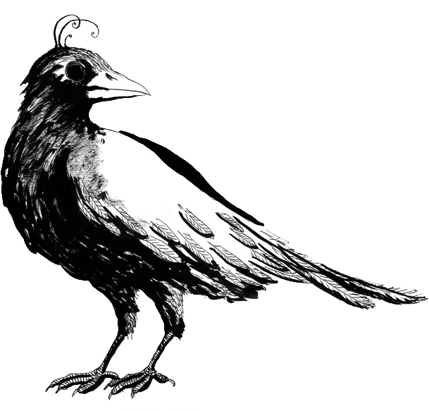 Birdnest - Rook (609x583), Png Download