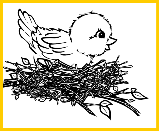 Bird Nest - Bird In Nest Clip Art (610x501), Png Download