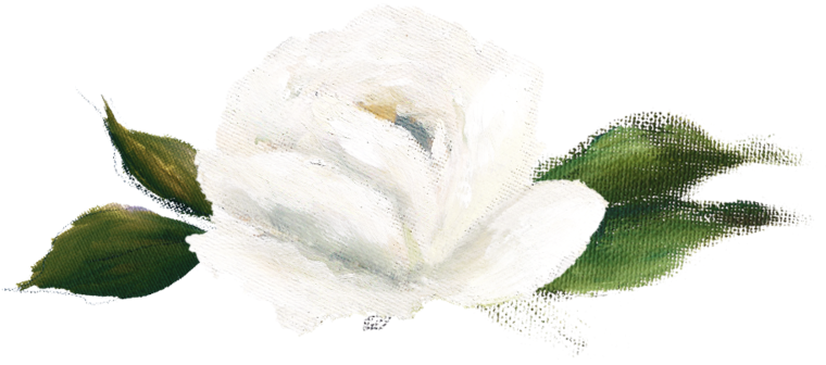 Option-1 - Portable Network Graphics (1000x357), Png Download