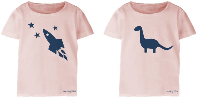 Buddingstem Girls Clothing T-shirts - Shirt For Girl Png (699x353), Png Download