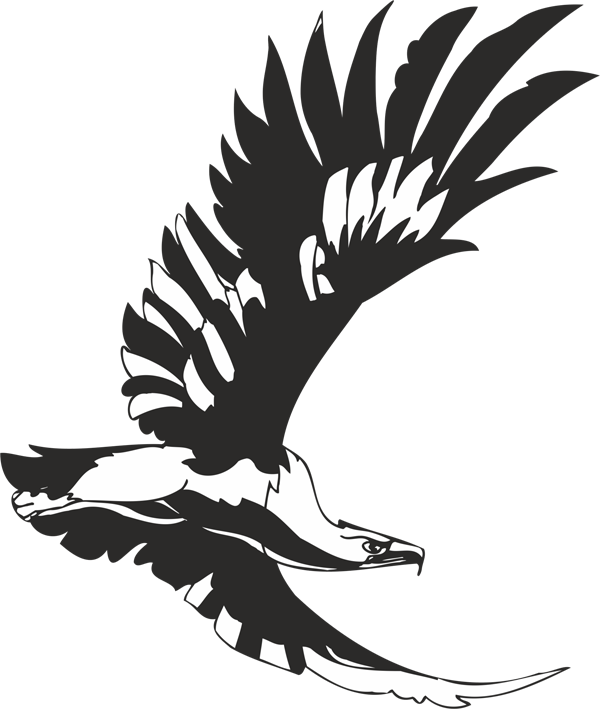 Flying Eagle - Трафареты Хищных Птиц (600x709), Png Download