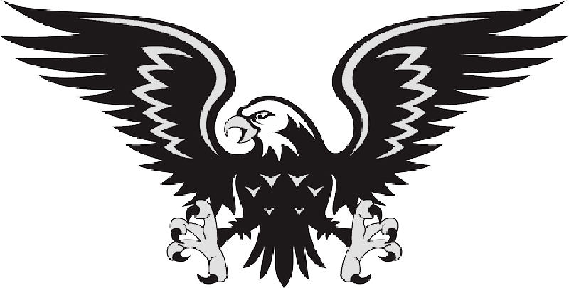 Mb Image/png - Hawk Clipart (800x405), Png Download