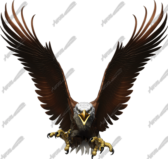 Flight Of The Eagle (550x521), Png Download