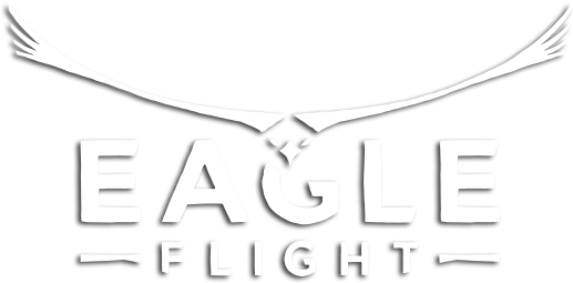 Der Himmel Gehört Uns - Eagle Flight (ps Vr) Ps4 (590x270), Png Download