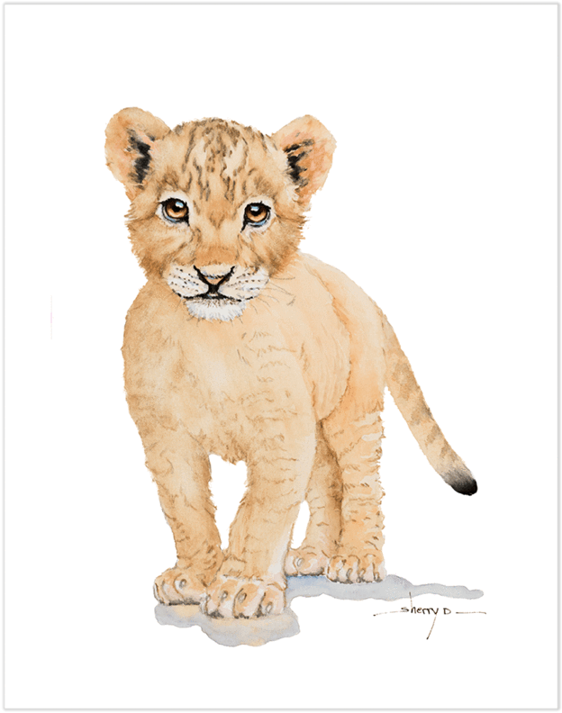 Baby Lion Wall Art - Art (800x800), Png Download