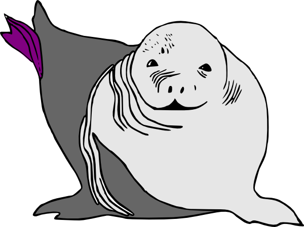 Baby Seal Baby Sea Lion Svg Clip Arts 600 X 449 Px (600x449), Png Download