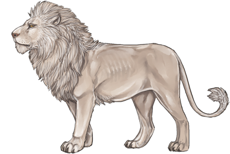 Oldlionday - White Lion Lioden (640x385), Png Download