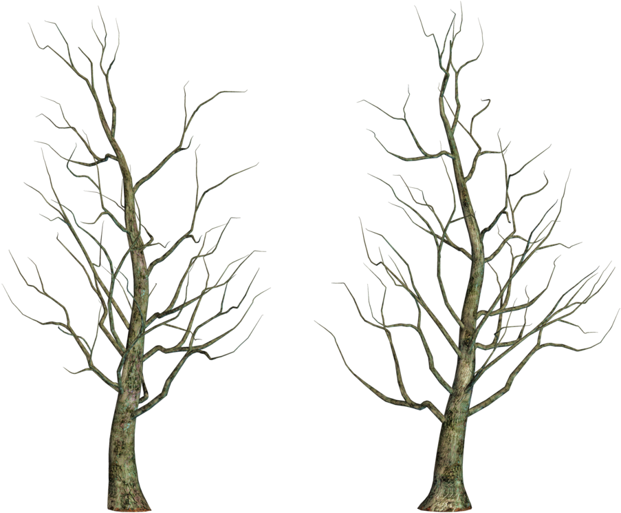 Leafless Tree Png Images - Portable Network Graphics (1024x825), Png Download