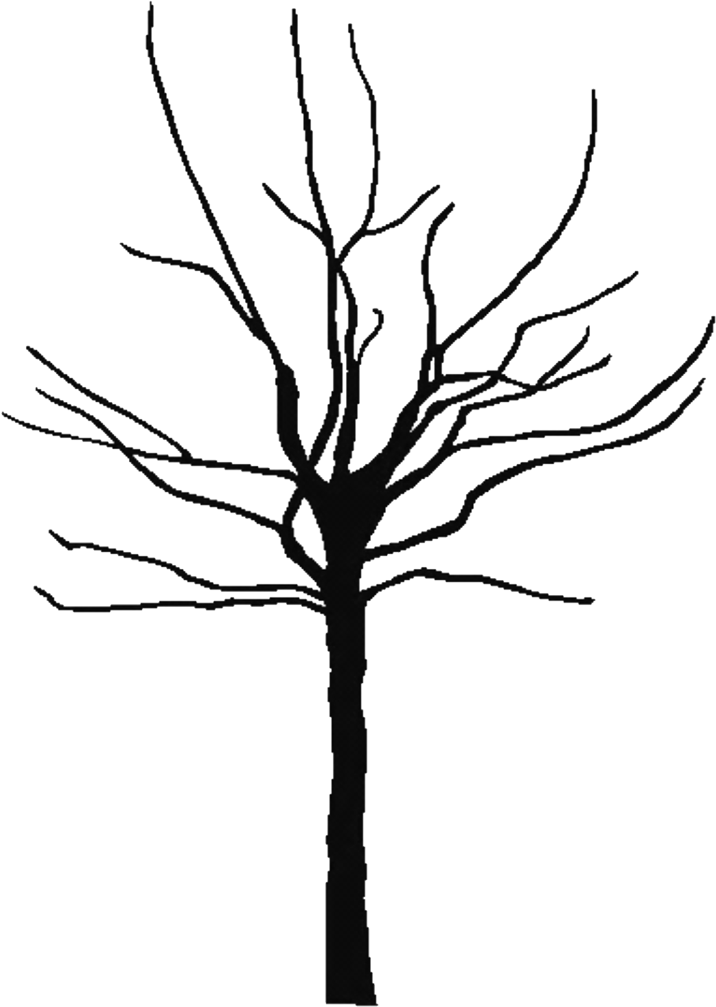 Bare Tree Clipart - Bare Clipart Tree (1080x1488), Png Download