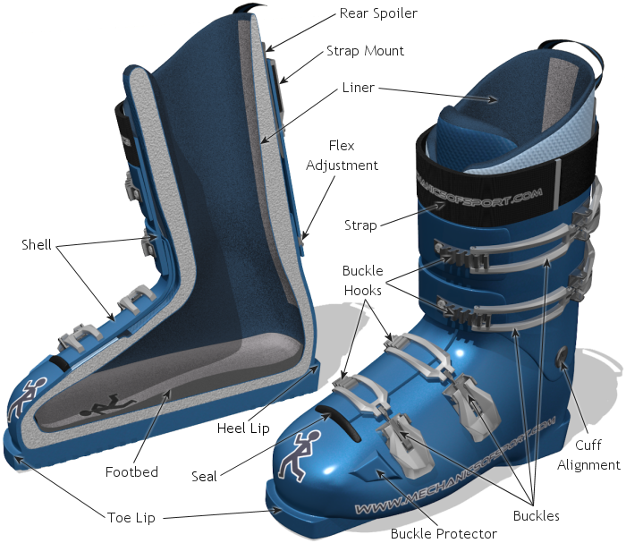 Ski Boot Parts - Skiing (700x607), Png Download