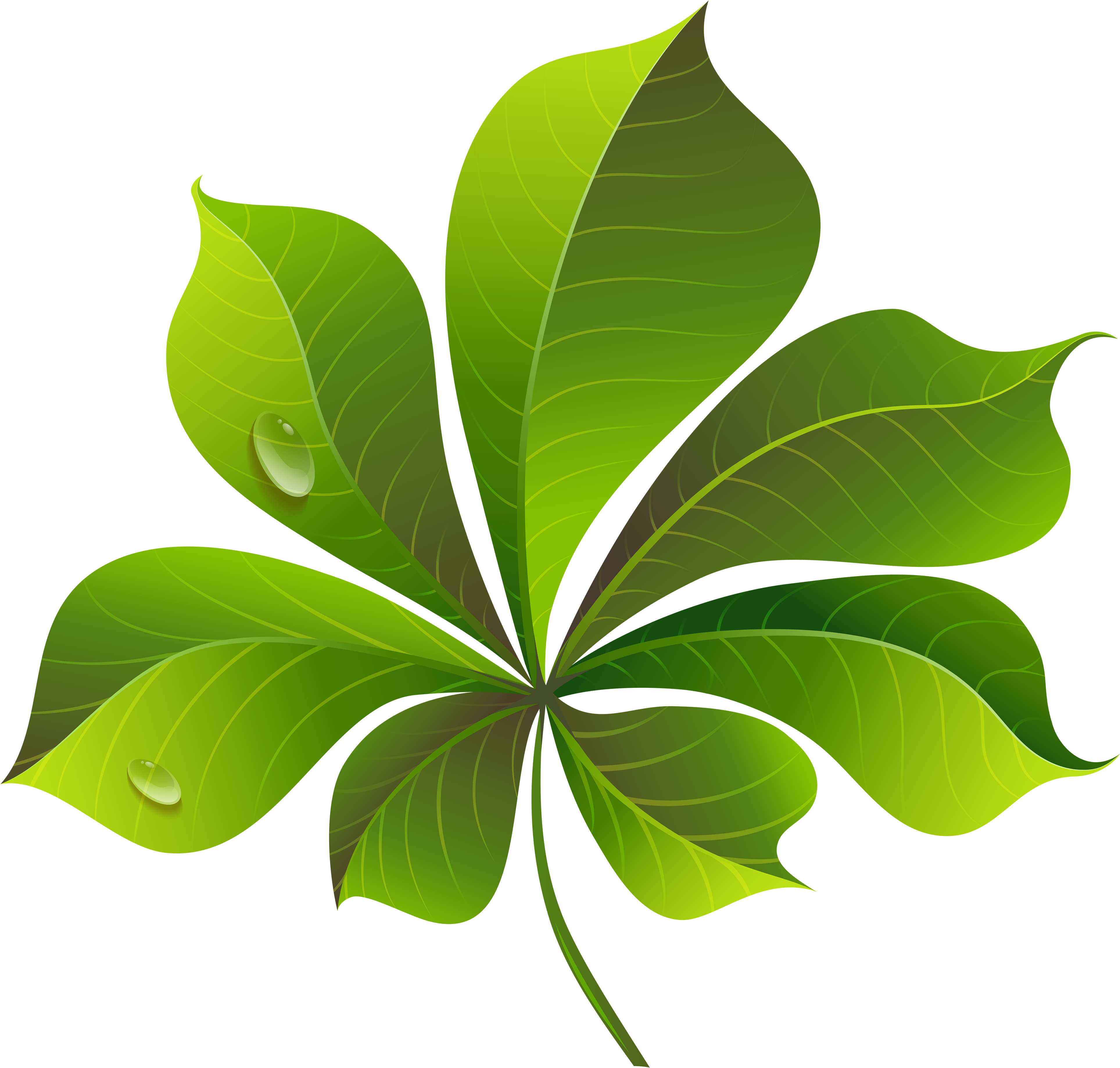 Green Leaf Png (4000x3739), Png Download