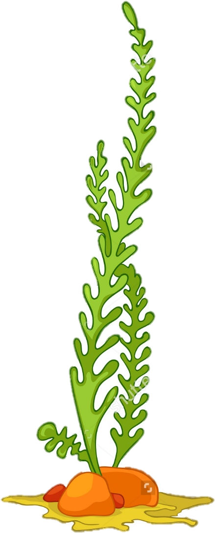 Transparent Ocean Plant - Sea Plant Cartoon Png (825x1173), Png Download