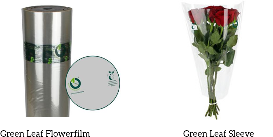 Green Leaf - Product (1116x472), Png Download