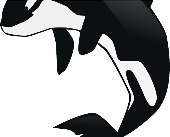 Share - Orca Clip Art (640x480), Png Download