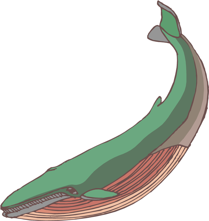 Baby Whale Clip Art Free Clipart Images - Whale Clipart (723x750), Png Download
