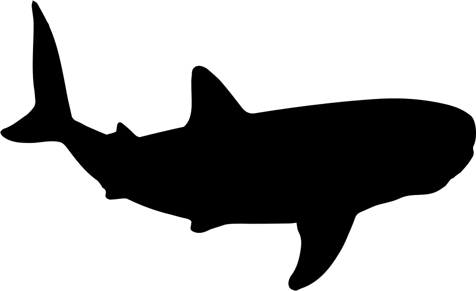 Free Free 153 Shark Outline Svg SVG PNG EPS DXF File