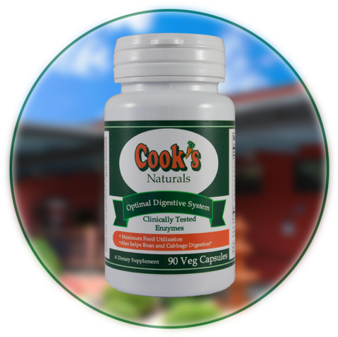 Cook's Optimal Digestive System (1000x563), Png Download