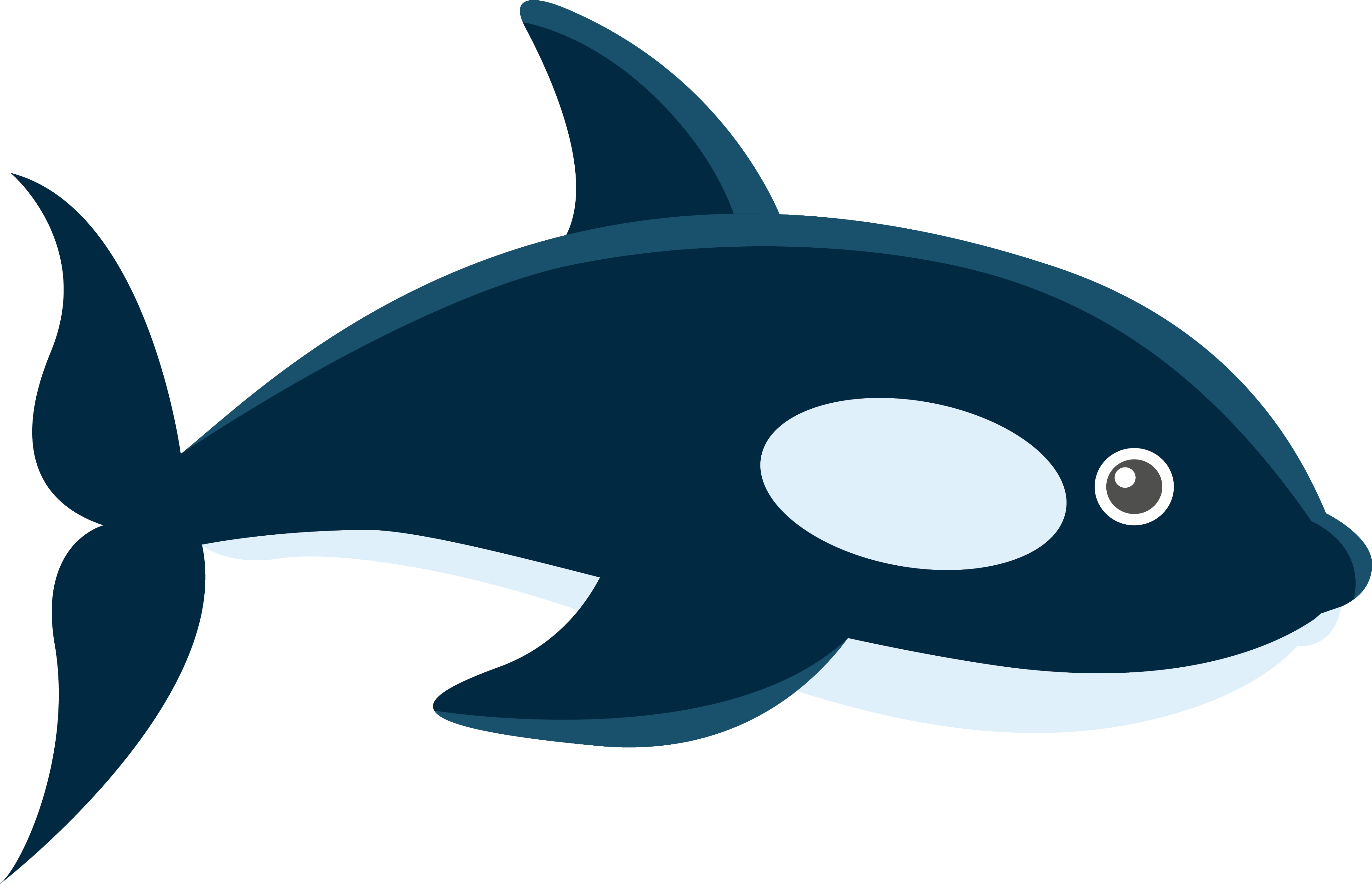 Download Whale Marine Biology Adobe Illustrator - Imagenes De Ballenas Animadas PNG Image with No Background Download Whale Marine Biology Adobe Illustrator - Imagenes De Ballenas Animadas PNG Image with No Background