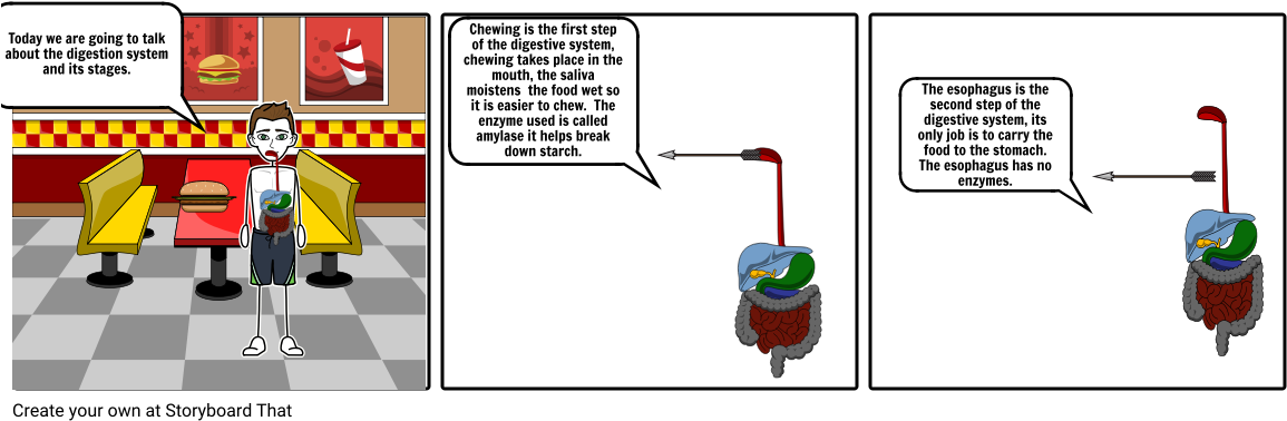 Digestive System - Human Digestive System (1164x385), Png Download
