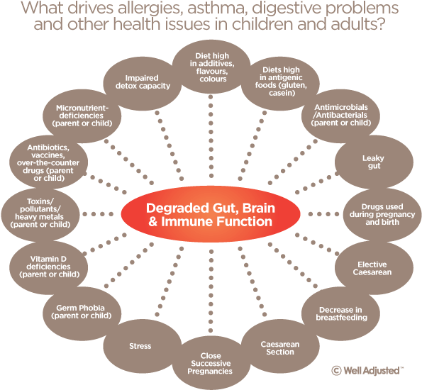 Risk Factors That Default Immune System - Interconnection Of Body Systems (610x575), Png Download