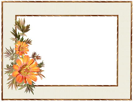 Frame, Floral, Gold Border, Decoration - Decorative Frame Border Png (438x340), Png Download