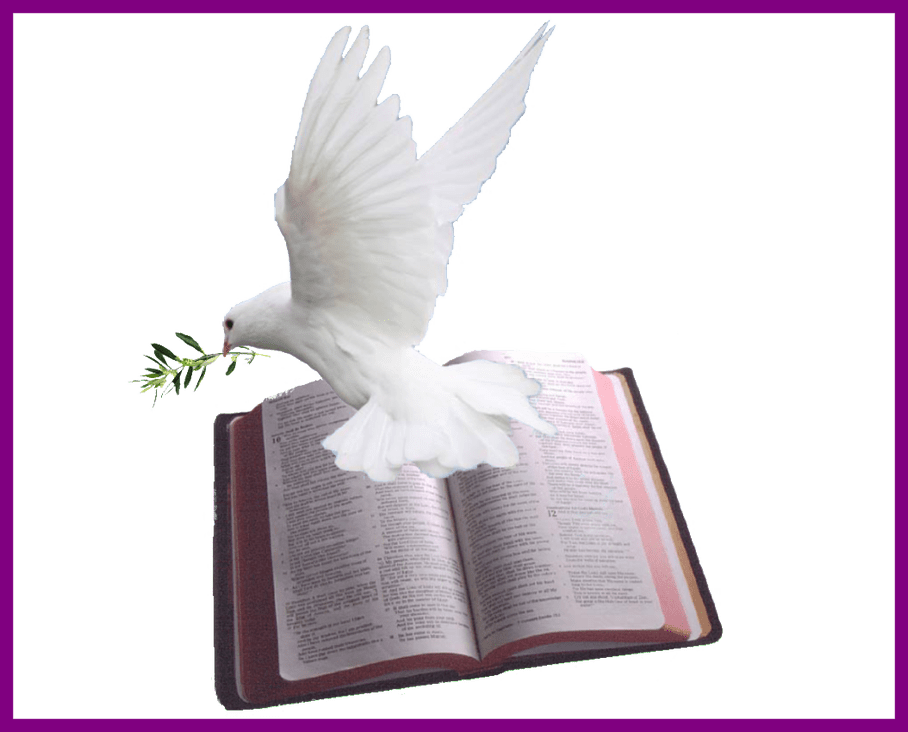 908 X 732 16 - Dove And Bible Png (908x732), Png Download