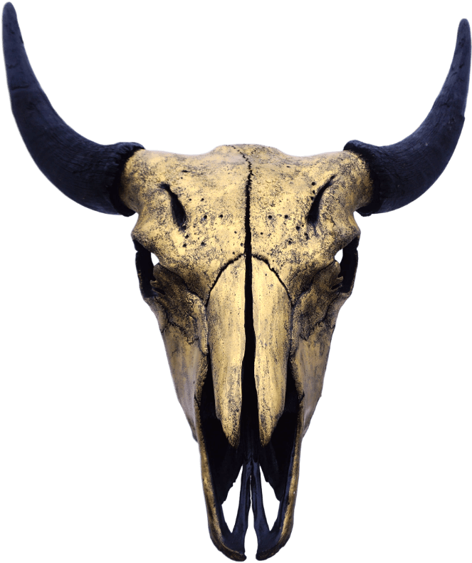 Gold Bison Skull - Bison Skull Png (1000x1000), Png Download