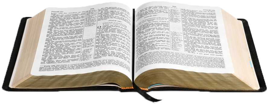 Red Lion Statement Of Faith - Twisted Scripture (900x360), Png Download