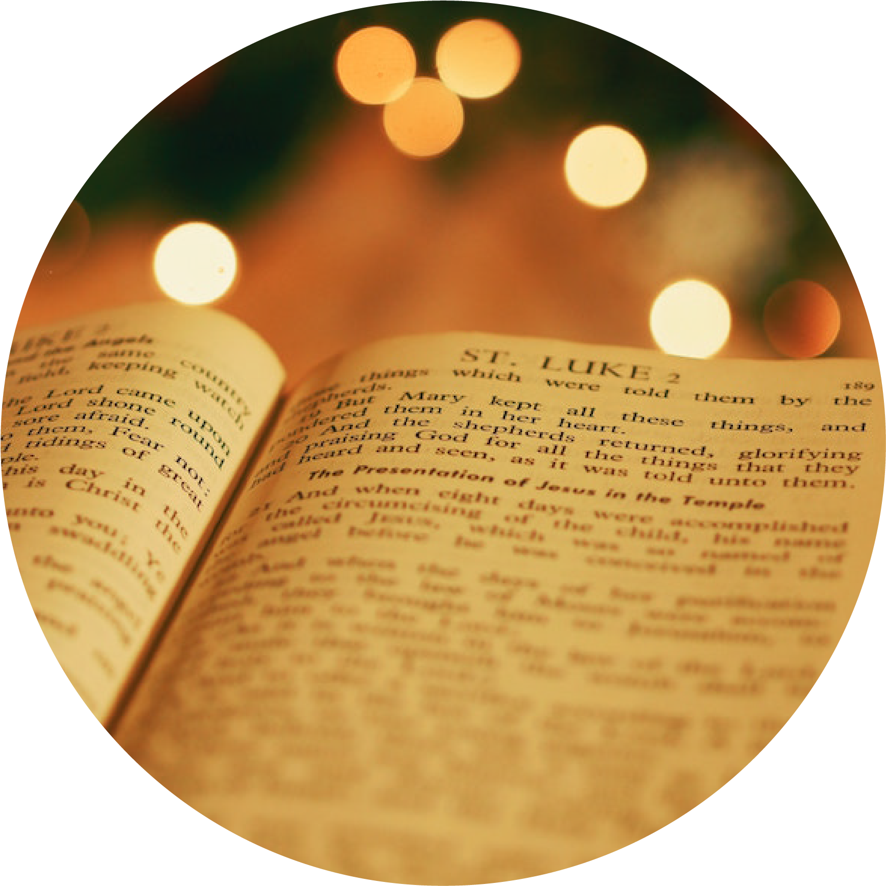 Read - Bible Reading Background Christmas (1968x2000), Png Download