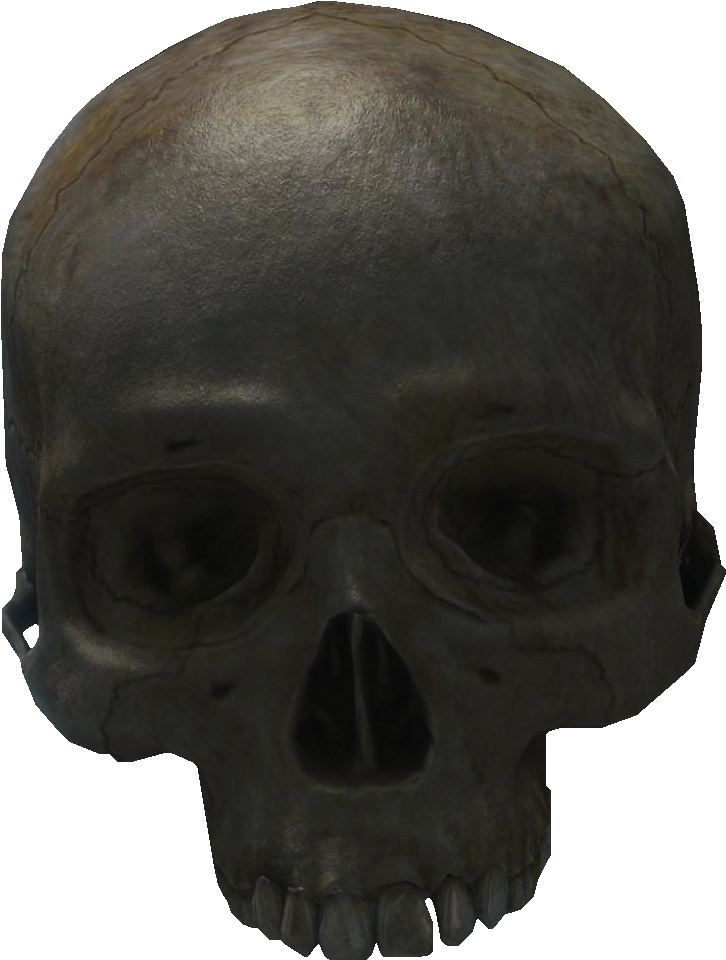 Skull (770x990), Png Download