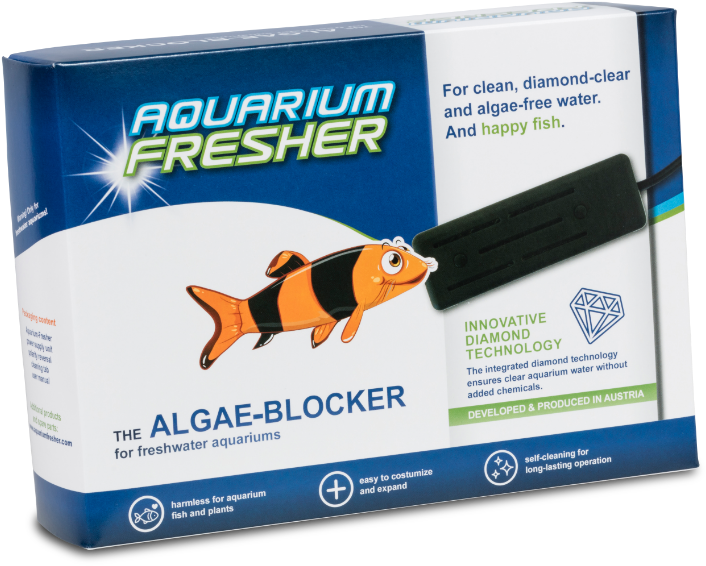 Large For Aquarium Up To 500 L - Pomacentridae (750x620), Png Download