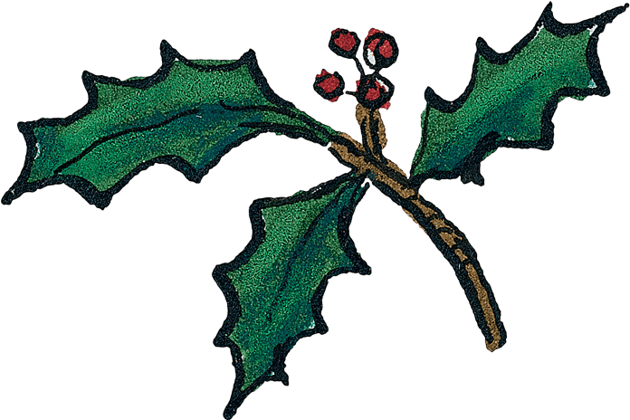 New Twilight Hours - Flower (800x481), Png Download