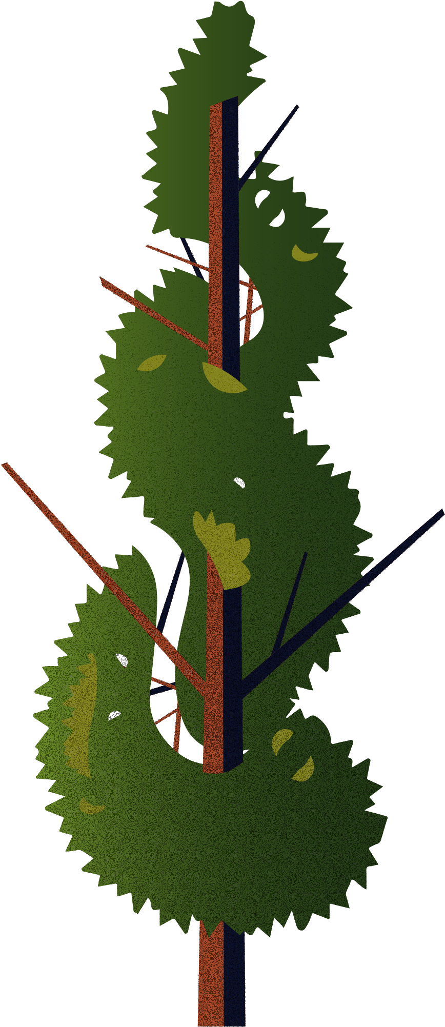 Vector Trees & Exterior Plants - Illustration (1181x2362), Png Download