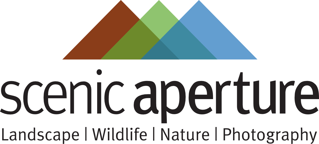 New Logo For Scenic Aperture - Education And Culture Dg (1333x603), Png Download