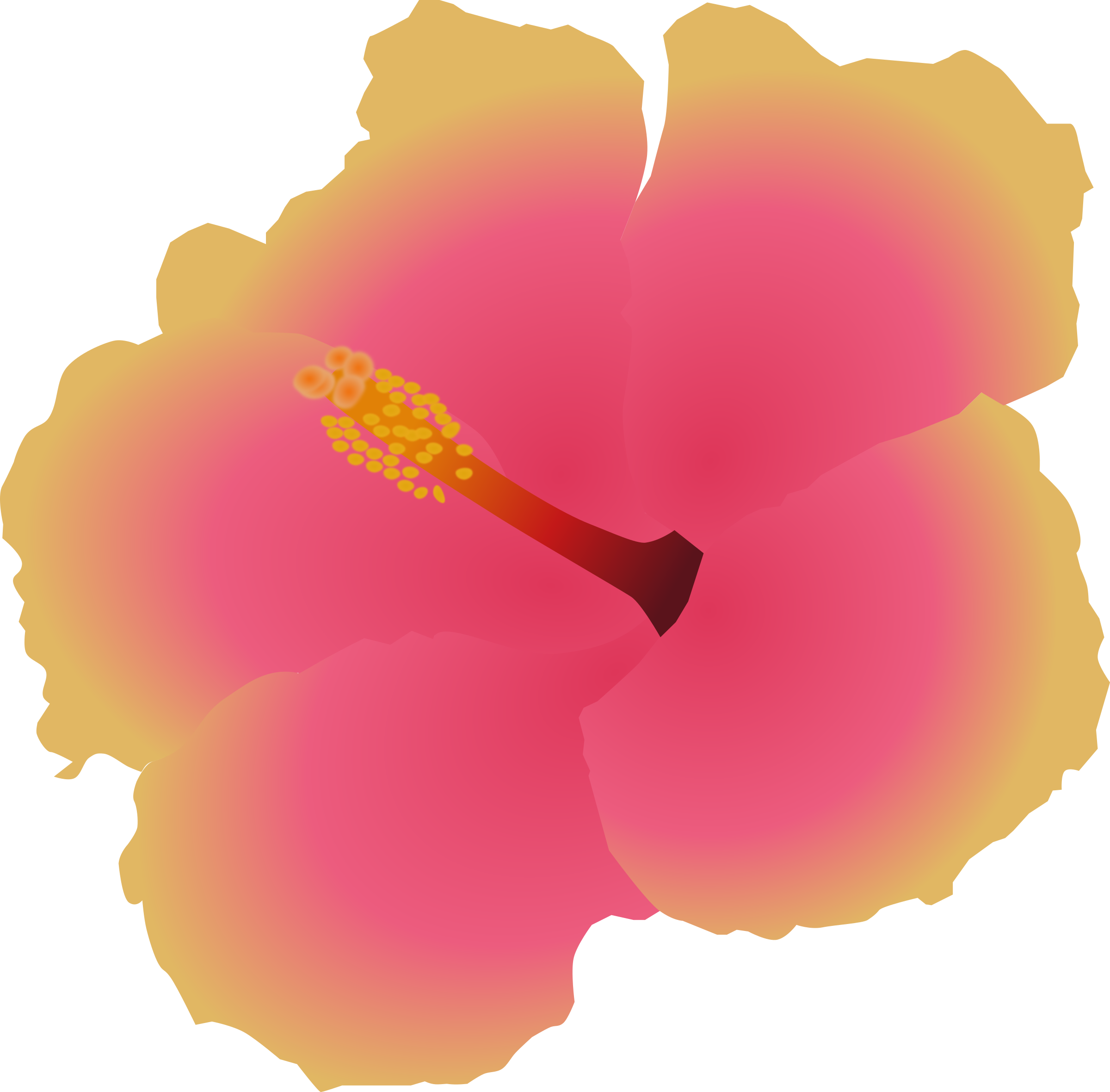 Big Image - Hawaiian Hibiscus (2400x2360), Png Download
