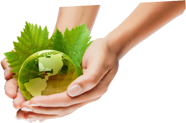 Car Wash Eco Friendly - Car Clean Ecologic Png (1400x638), Png Download