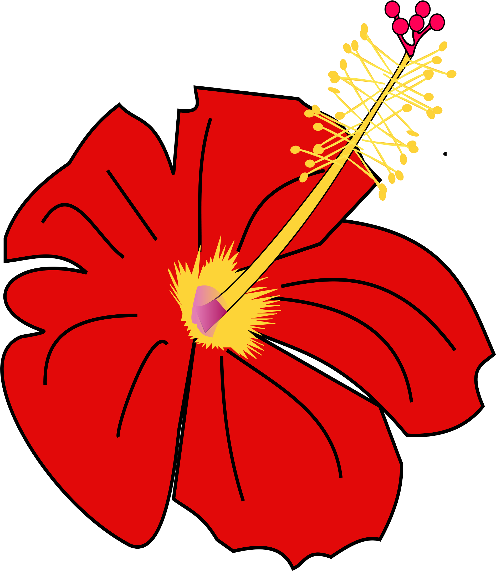 Open - Hawaiian Hibiscus (2000x2828), Png Download