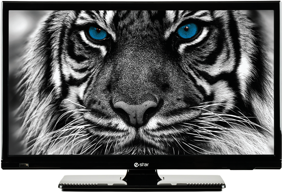 Ledtv 20d2t1 Ledtv Front - E Star Tv (772x680), Png Download