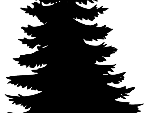 Pine Tree Vector - Christmas Trees Png Black (640x480), Png Download