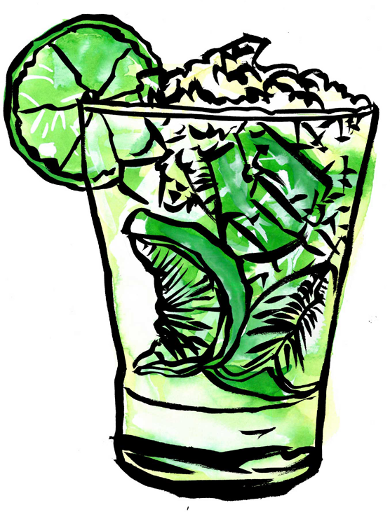 Wanna Make Any Caipirinha Or An Amazing One (556x731), Png Download