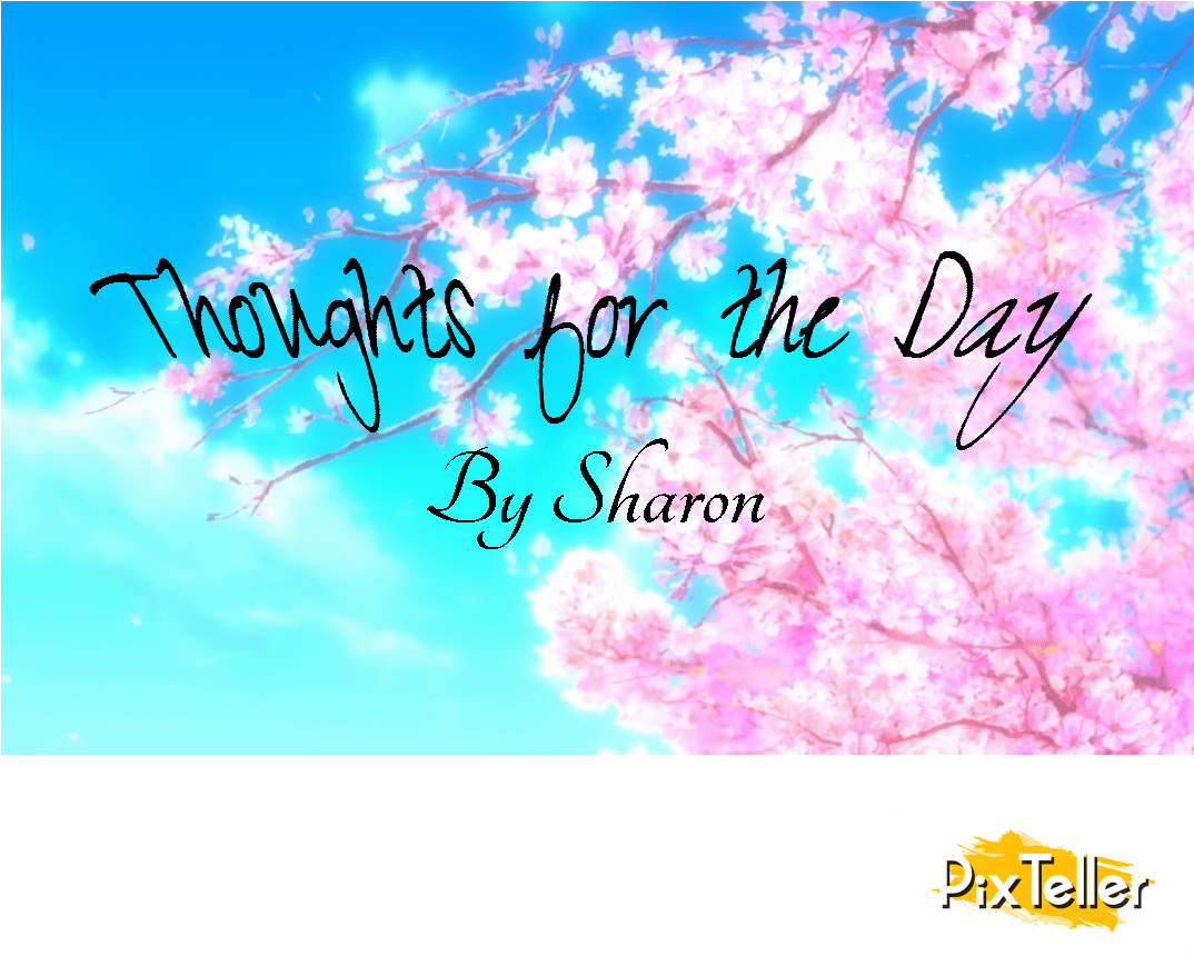 Customize & Download It For Free - Anime Sakura Tree Background (1080x1080), Png Download
