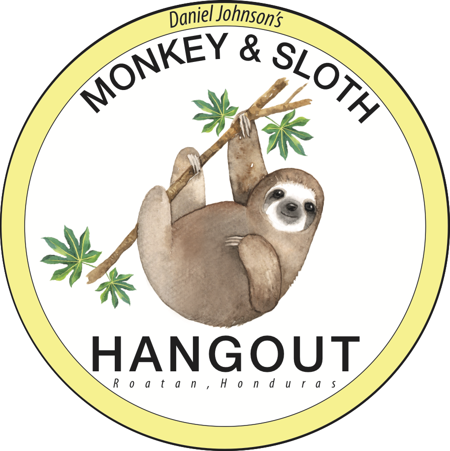 Palmas Beach - Daniel Johnson's Monkey And Sloth Hangout Cost (914x917), Png Download