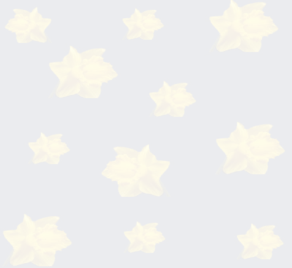 Star Of Bethlehem - Maple Leaf (1000x918), Png Download