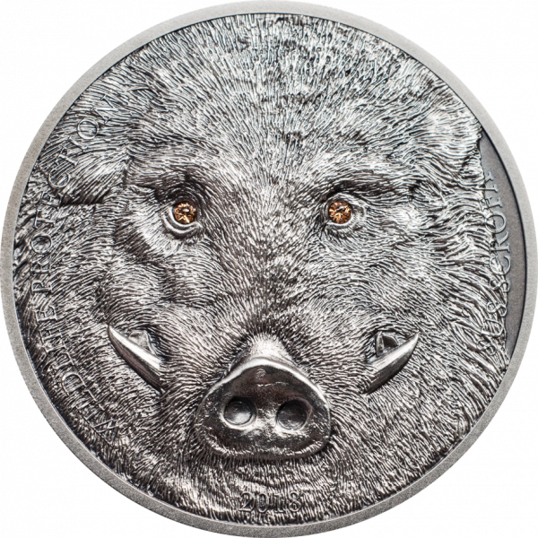 Wild Boar Sus Scrofa, Cit Coin Invest Trust Ag / B - Wild Boar (600x600), Png Download